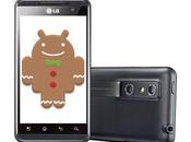 Domani disponibile Android Gingerbread Optimus