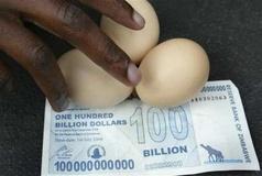 zimbabwe-hundred-billion-dollars-and-eggs