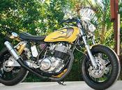 Peccant 500SF powered Yamaha
