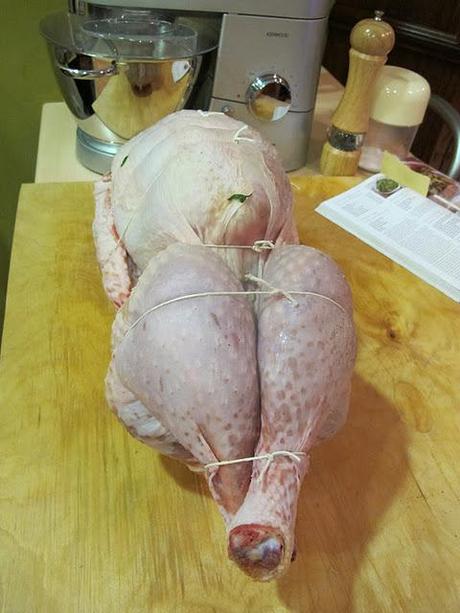 Thanksgiving Turkey