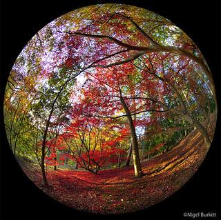 l'Occhio del fotografo_Nigel Burkitt