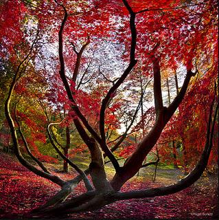 l'Occhio del fotografo_Nigel Burkitt