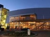 Google, pulizie primavera fuori stagione