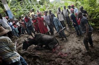 Portfolio: Paolo Marchetti