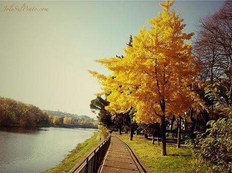 I colori della strada...