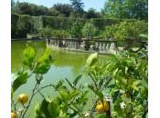 Giardino Boboli: l’isola proibita dell’amore!