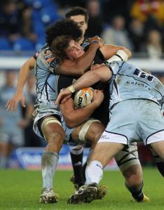 Domande da farsi sugli Aironi