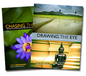 Chasing and Drawing the Look