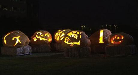 Google festeggia Halloween con un time-lapse video