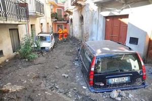 Alluvione Messina tirrenica: come aiutare gli animali