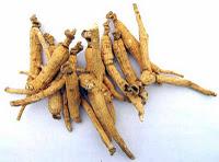 Ginseng (Panax ginseng)