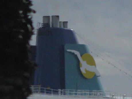 amadea , 23 novembre 2011