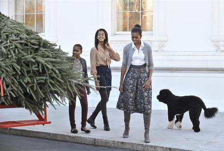 25 novembre: Arriva l'albero di Natale alla Casa Bianca