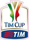 100px-TIM_Cup.jpg
