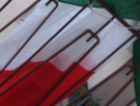 Con la bandiera della nazione italiana al mio terrazzo di Firenze ringrazio per gli auguri.