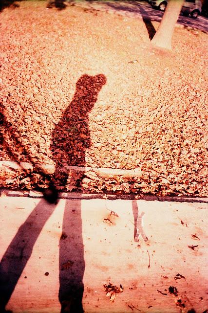 HAVE YOU SEEN BOB? (in Ferrara - Italy) • Pentax PC-550, Lomography X Tungsten 64, x-pro