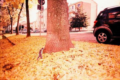 HAVE YOU SEEN BOB? (in Ferrara - Italy) • Pentax PC-550, Lomography X Tungsten 64, x-pro