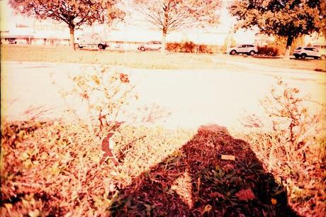 HAVE YOU SEEN BOB? (in Ferrara - Italy) • Pentax PC-550, Lomography X Tungsten 64, x-pro