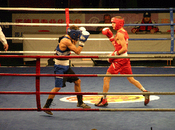 Boxe: World Series, primi allenamenti Caserta