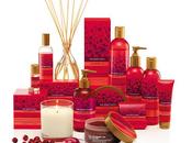 Beauty Christmast *Idee Regalo* -Linee Natalizie 2011 BODY SHOP-