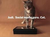 L'app iPad MoMA. gatto presenta.