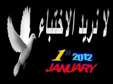 Egitto: Gennaio 2012, Manifestazione Pro-Gay piazza Tahrir