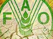 Fao: sicurezza alimentare rischio