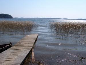 L'approdo di Primo Levi