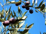 contorno sfizioso goloso…