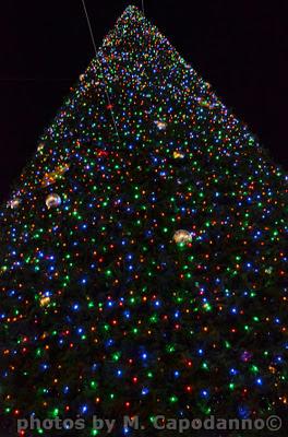 NATALE: luminarie natalizie a Sorrento