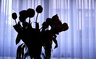 La pagina di un libro/29 - Il carteggio Aspern