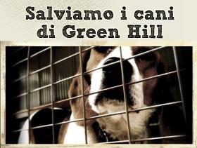 Il lager di Green Hill e le bestie in giacca e cravatta.