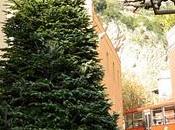 aspettando Natale Positano