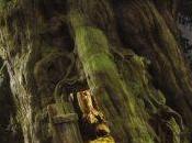 Nuova uscita: mistero libri perduti