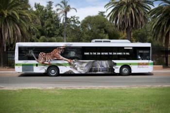 perthzoo-bus