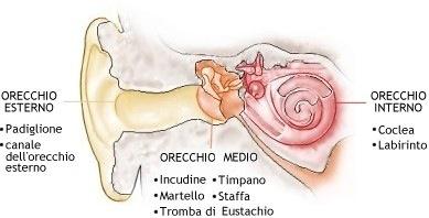 l'orecchio muto_welcome to the world