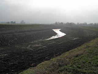 Il torrente Stirone: non solo parco