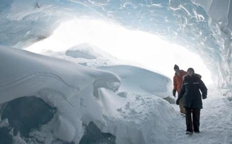 The-Thing-2011 La Cosa (2011)
