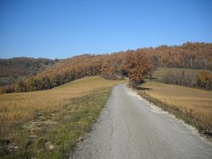 Vacanze di Natale in Emilia Romagna Vacanze di Natale in Emilia Romagna nella Crescita Personale