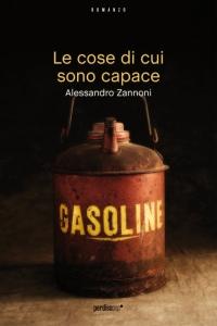 Le cose di cui sono capace, di Alessandro Zannoni