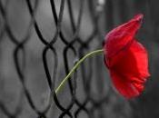 Bimbo muore dopo essere stato messo lavatrice, orrore impossibile giustificare