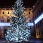 siena piazza del monte natale