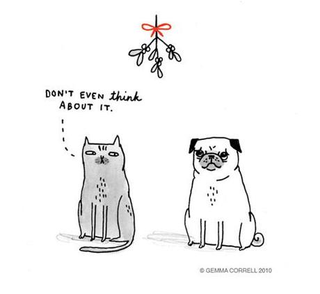 Gemma Correll