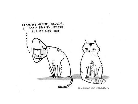 Gemma Correll