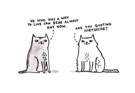 Gemma Correll