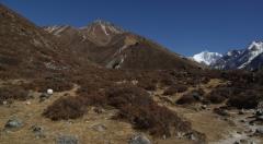 viaggi,asia,nepal,trekking,langtang