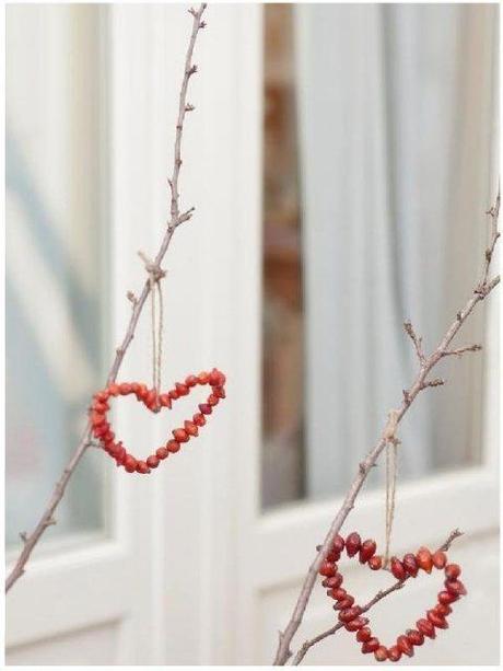 Natale di cuore….DIY: cuore di cinorrodi