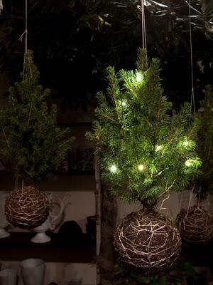 String Gardens for Xmas