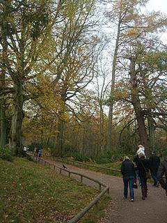 Monkey Forest & Trentham Gardens