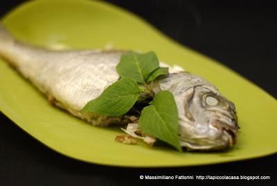 Le erbe aromatiche e il pesce: Sarago con salvia ananas e timo limone